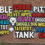 Pitbull Nicknames