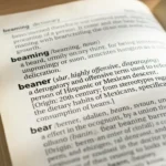 what does beaner mean